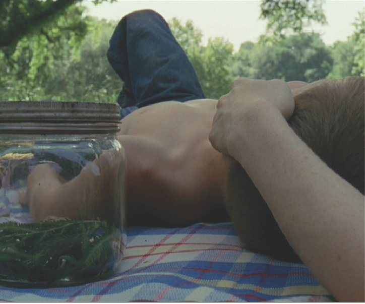 La luz natural y la contemplación en el cine